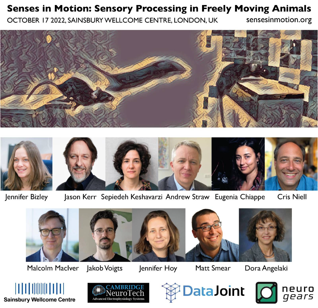 Senses in Motion 2022