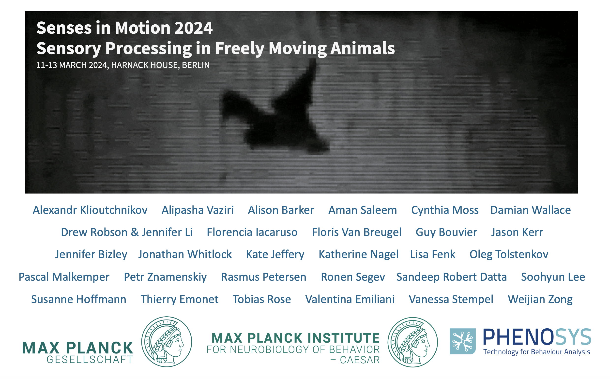 Senses in Motion 2024
